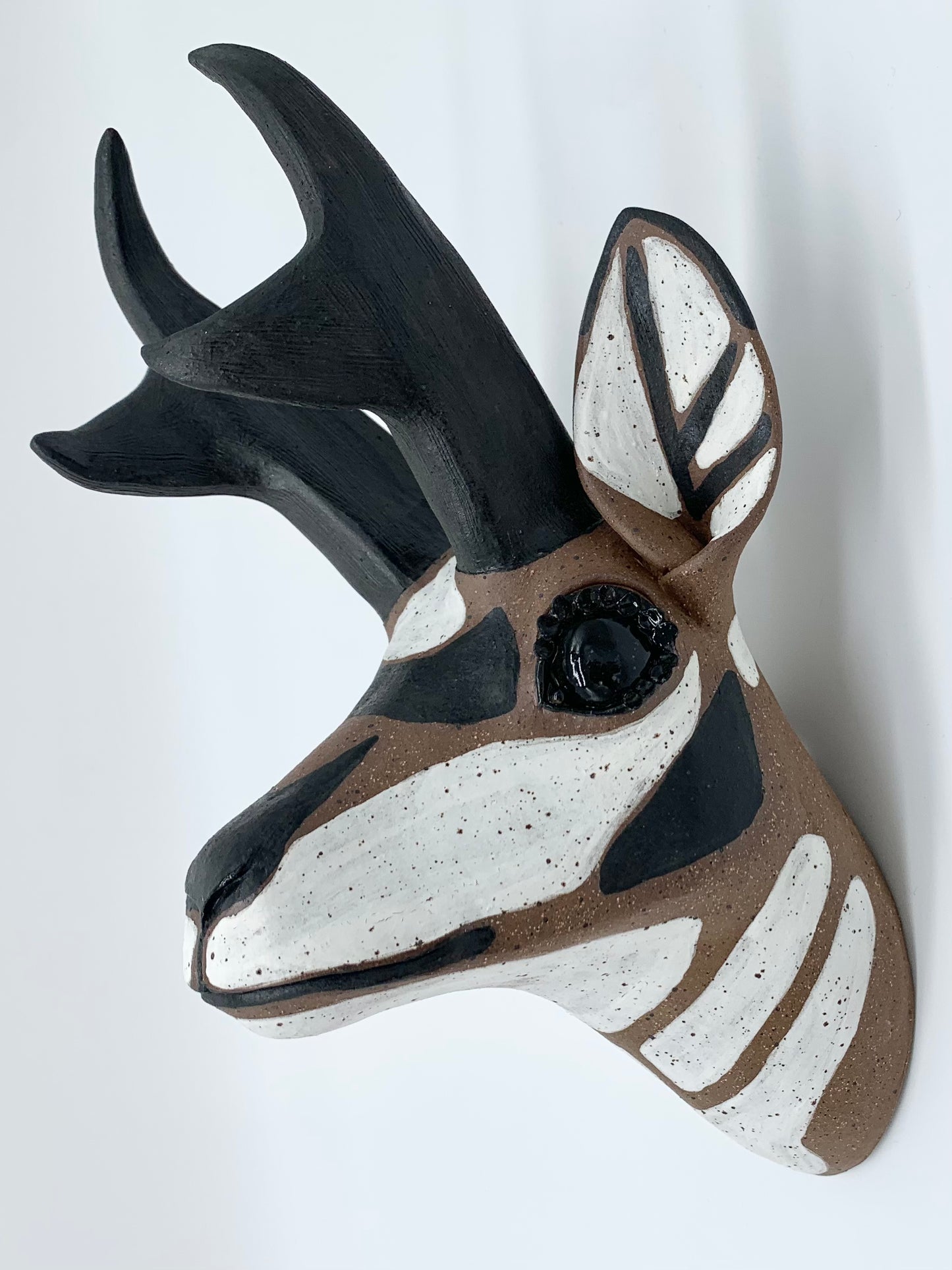 Pronghorn