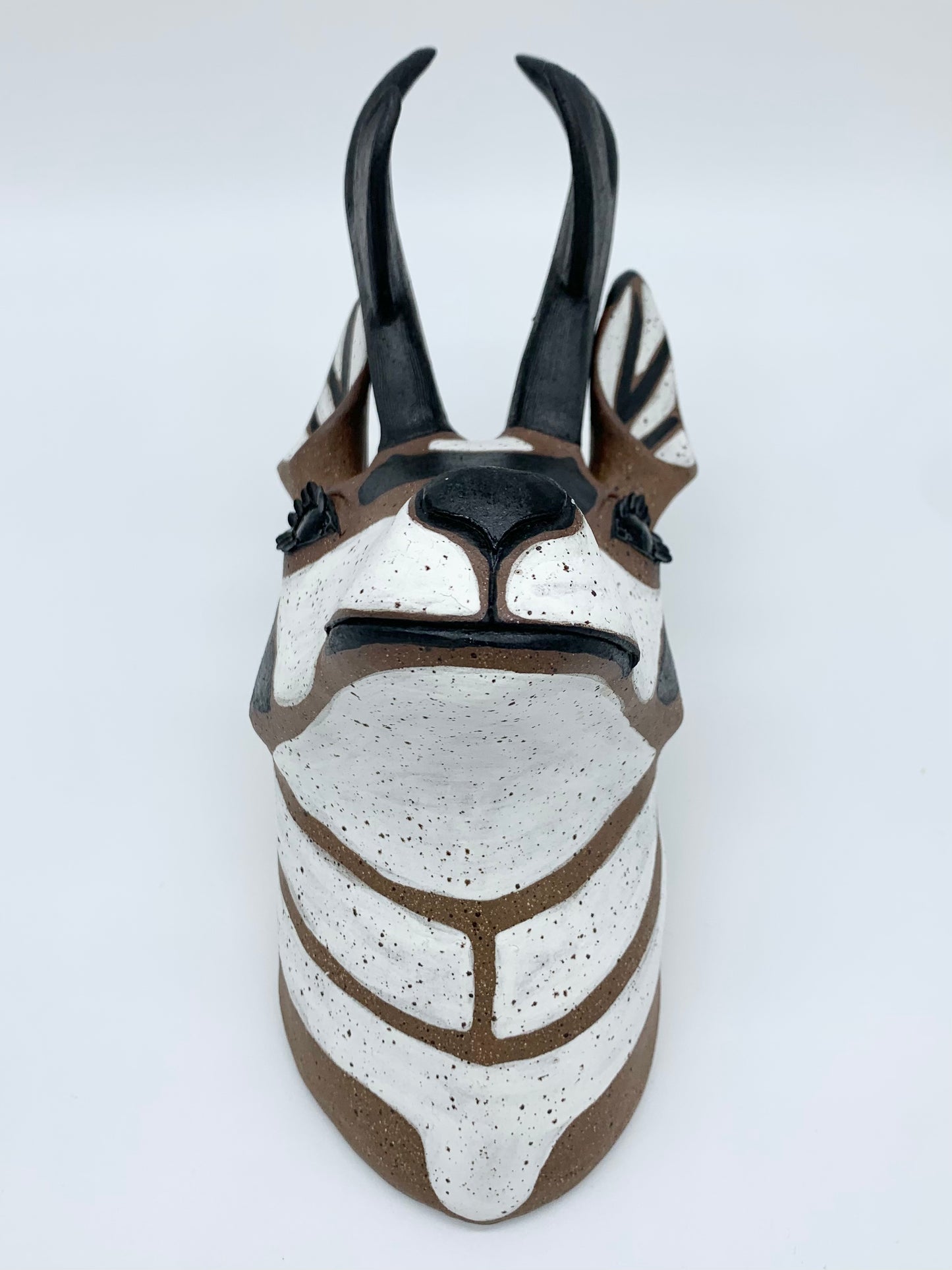 Pronghorn